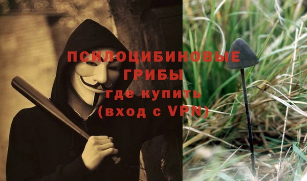твердый Алзамай