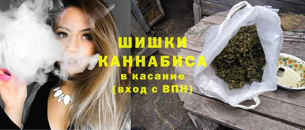 шишки Алексин