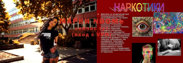 шишки Алексин