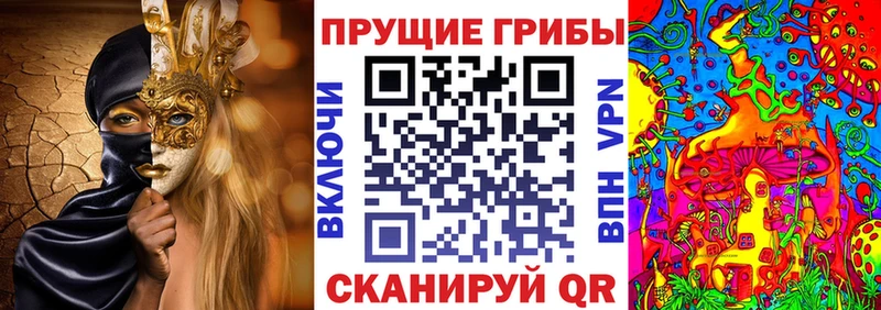 Псилоцибиновые грибы ЛСД  нарко площадка телеграм  Нефтекумск  omg ТОР 