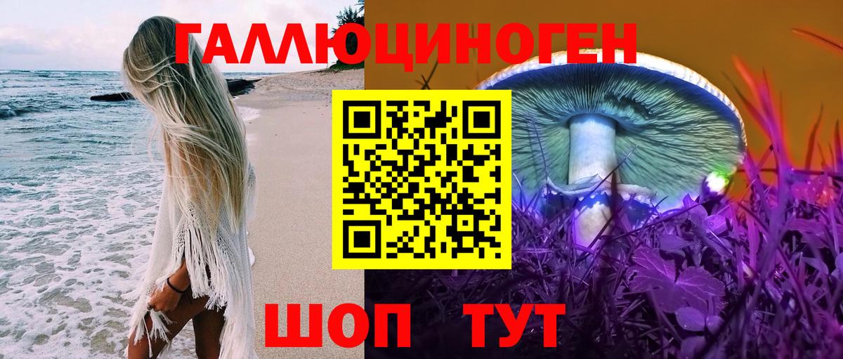 Псилоцибиновые грибы ЛСД Нефтекумск