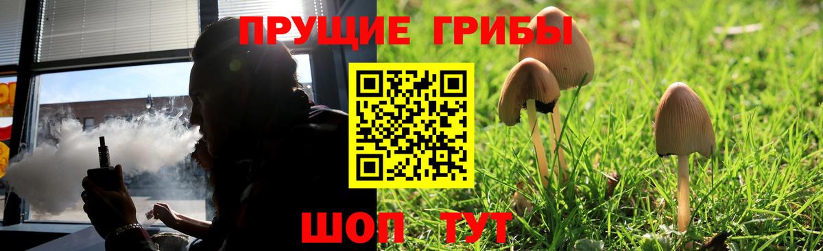 Нефтекумск  Псилоцибиновые грибы мицелий  сколько стоит  Вход с VPN 