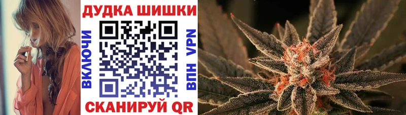 Бошки Шишки OG Kush  как найти закладки  Нефтекумск 
